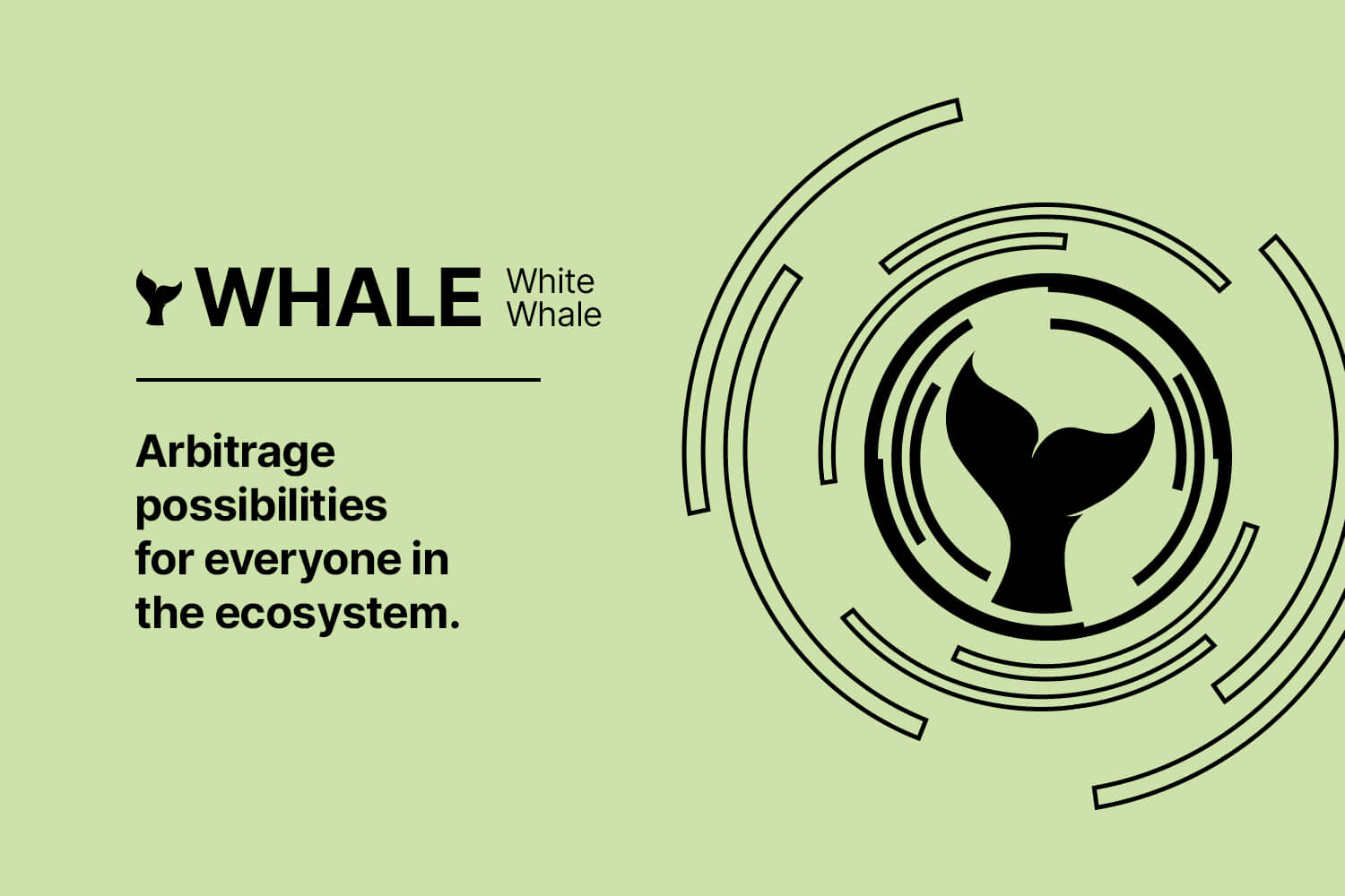 3. White Whale