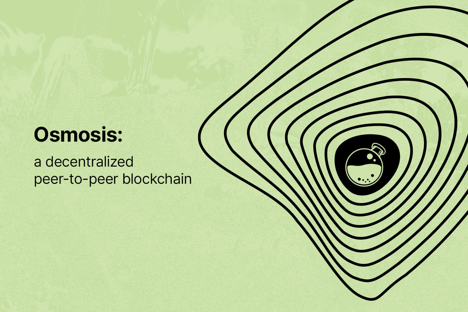 02-Network-Of-The-Week-Cosmos